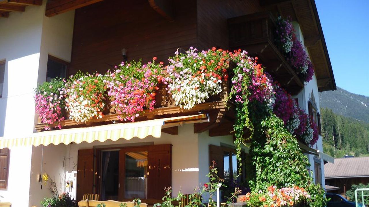 Roasnhof Terrasse Roasnhof Terrasse